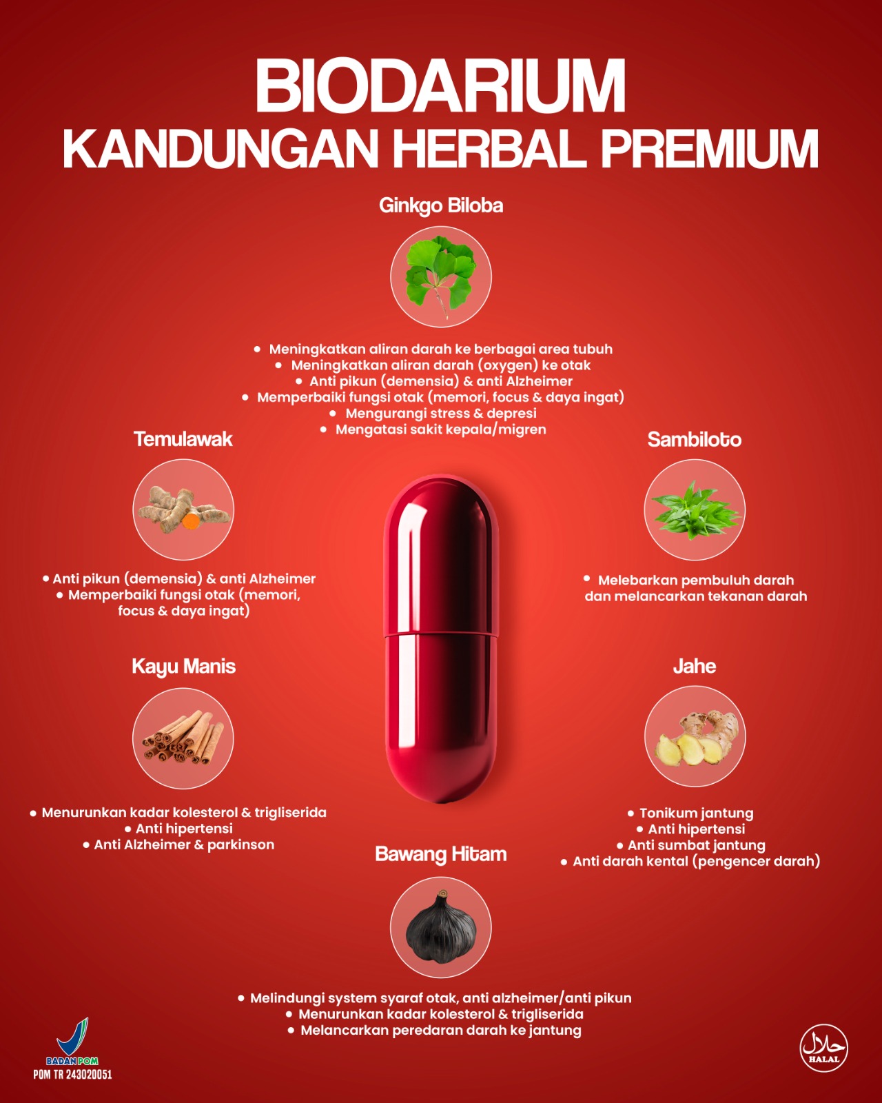 Infografis komposisi herbal premium Biodarium